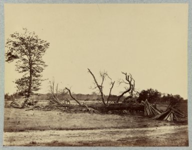 Confederate lines at Cold Harbor, Va LCCN2012646931