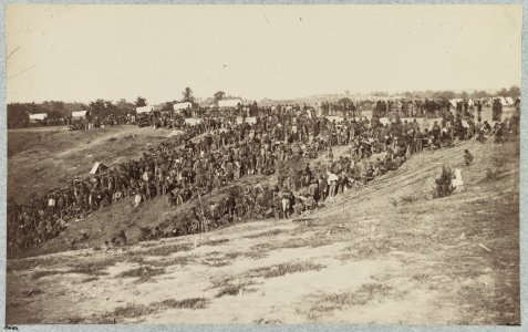 Confederate prisoners at Belle Plain Landing, Va., captured with Johnson's Division, May 12, 1864 LCCN2013645528