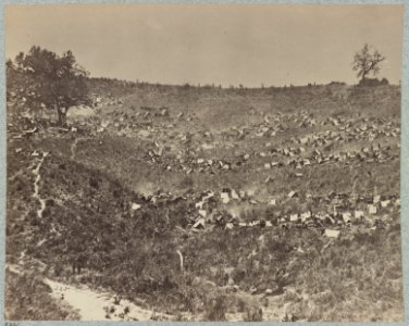 Confederate prisoners at Belle Plain Landing, Va., captured with Johnson's Division, May 12, 1864 LCCN2013645527