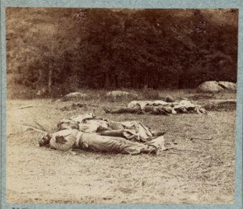 Confederate soldiers as they fell near the center of the battlefield of Gettysburg LCCN2013645925