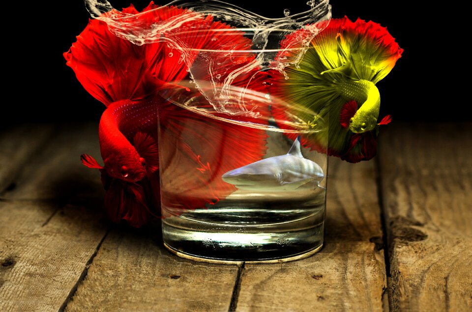 Glass flora decoration