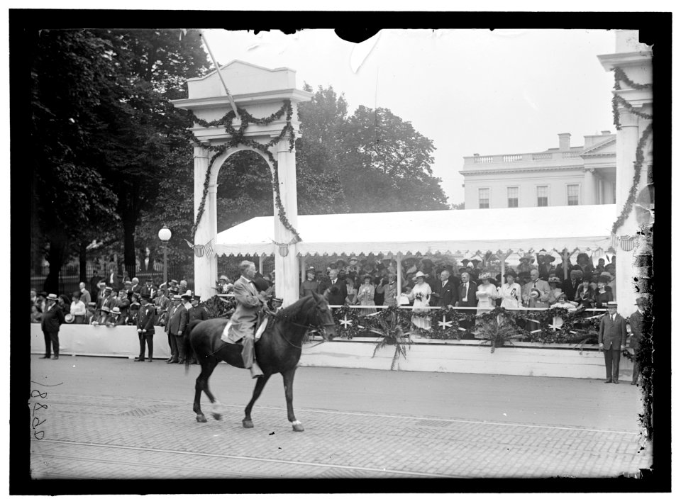 CONFEDERATE REUNION. PARADE. REVIEWING STAND LCCN2016867885