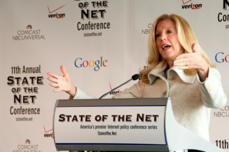 Conference on State of the Net photo