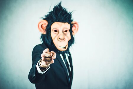Business portrait start up