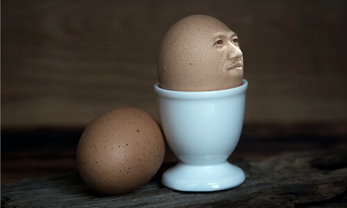 Desktop brown egg brown eggs photo