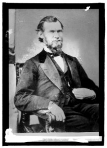Congressman Wm. S. Holman of Ind. LCCN2016821674