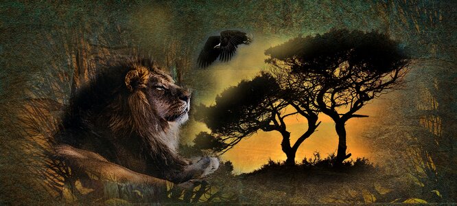 Living nature animals travel
