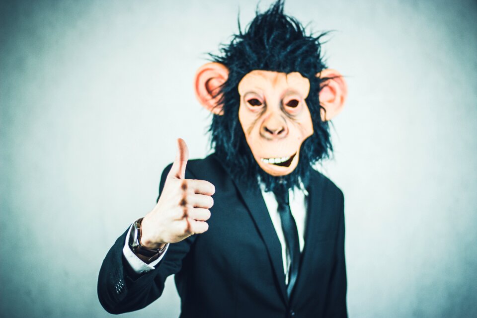 Business portrait start up