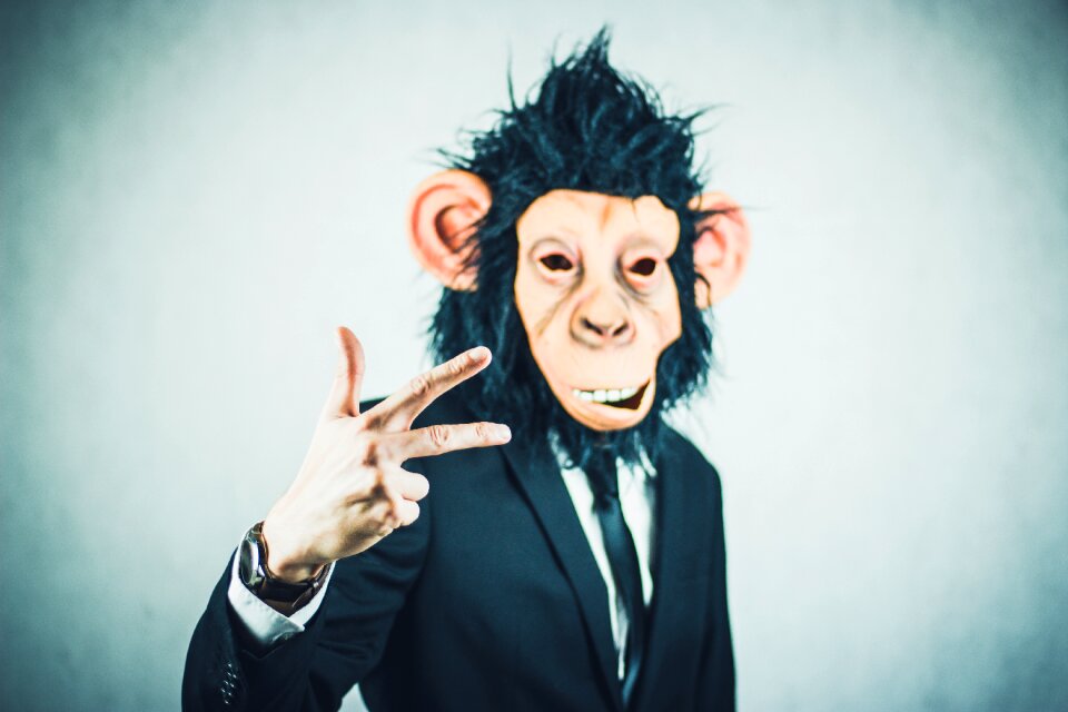 Business portrait start up