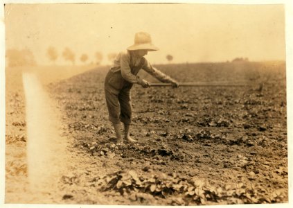 Conrad Elrod, R 3, hoeing strawberries. LOC nclc.00563