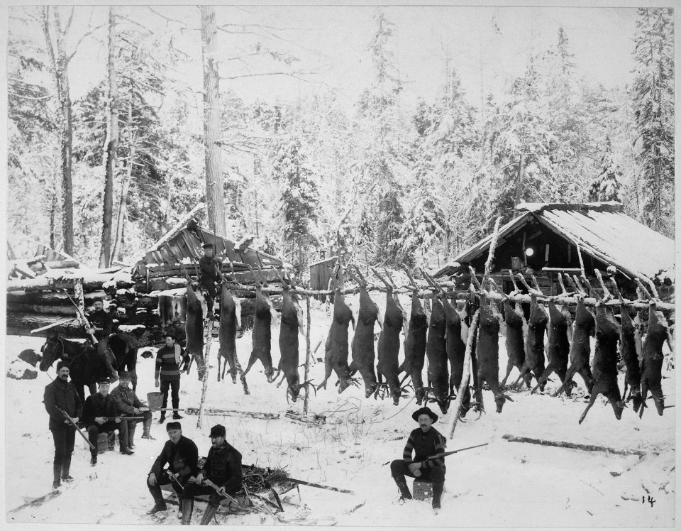 Conserving food. Combing the wilds of Northern Michigan for wild game is one method of conservation employed in that... - NARA - 533645