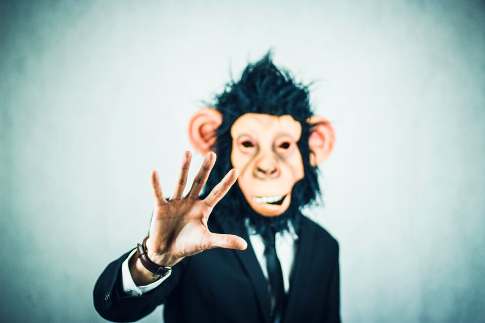 Business portrait start up