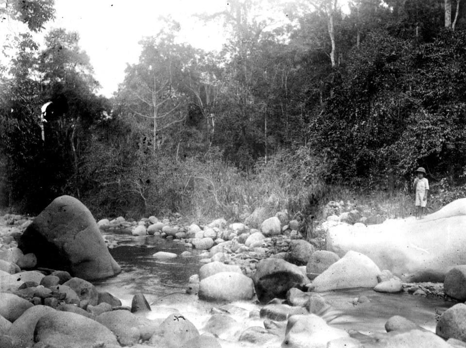 De dödas port i floden Makaj nedom Kantewoe. Sulawesi. Indonesien - SMVK - 010789