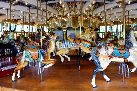 Dentzel Carousel, San Francisco Zoo - San Francisco, CA - DSC03412 photo