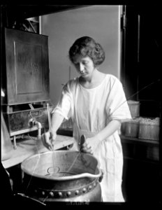 Dept. of Agric. Mrs. Mary Schwarz, who has charge of the kitchen where Media, which is the bacteriologists name for bug-food, is cooled for growing bacteria LCCN2016891650