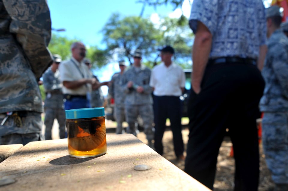 Deputy assistant secretary of the Navy (Environment) visits JBPHH 140915-N-IU636-076