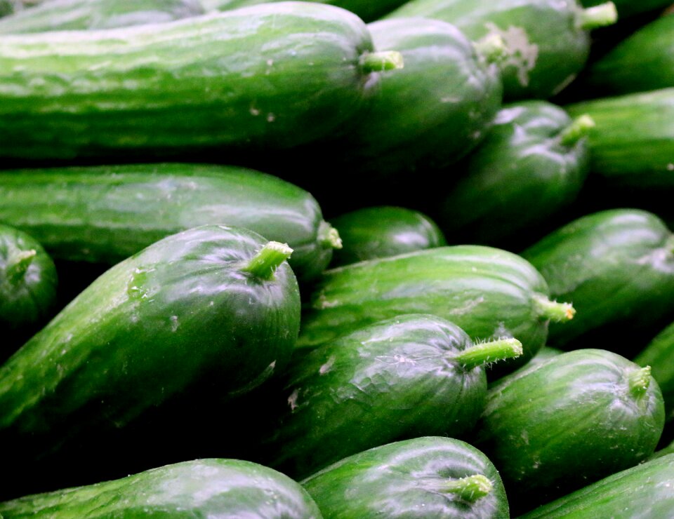 Persian cucumber vegan raw