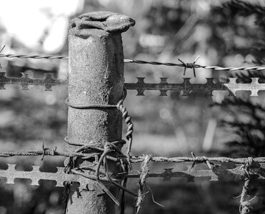 Barbed wire metal close up