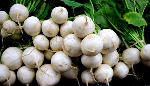 Turnips roots turnip