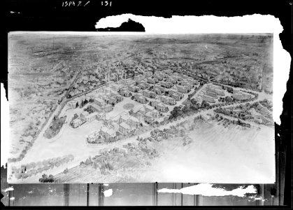 Dessin vue ensemble Hopital Edouard Herriot de Lyon