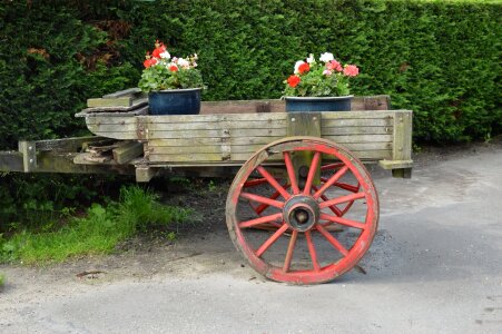 Garden carriage wood