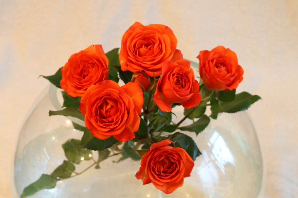 Flower bouquet petal