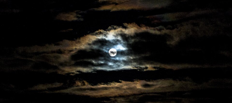 Night full moon nature