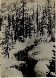 Detail aus dem Schützengraben auf Burgstall, Februar 1916. (BildID 15583115)