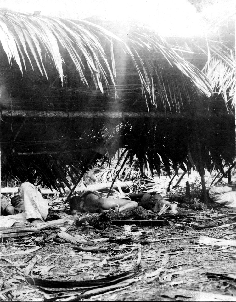 Det inre av en astahuacahydda. Mellan Rio Inambari och Rio Tambopata. Madre de Dios. Peru - SMVK - 002517