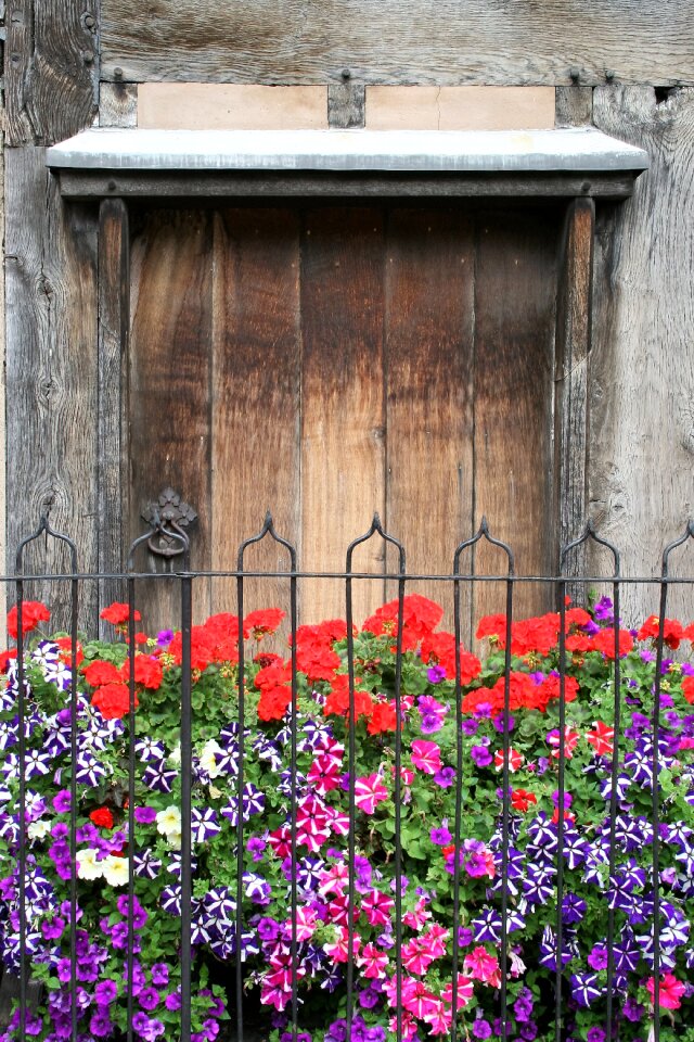 Garden shakespeare fence