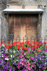 Garden shakespeare fence photo