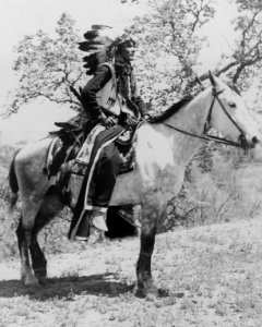 Detail Native American on horseback in 1900, from- Tioagla, full-length portrait, facing right, on horseback LCCN96507913 (cropped)