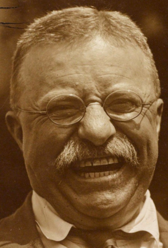 Detail, Theodore Roosevelt laughing LCCN2010645494 (cropped)