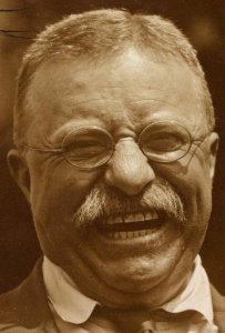 Detail, Theodore Roosevelt laughing LCCN2010645494 (cropped) photo