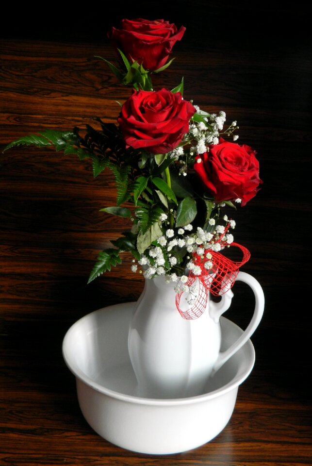 Nature red rose romantic