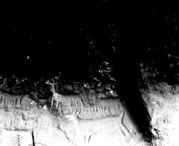Detalj av länga med hällristningar på vägg i grotta. Lokal, Corani, Peru. Corani - SMVK - 002457