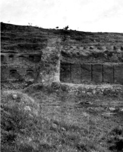 Detalj från det skulpterade berget El fuerte del Inca - SMVK - 005849