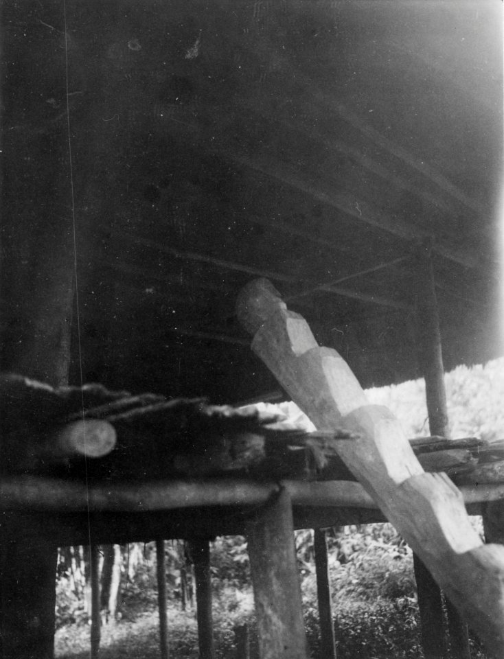 Detalj av stegtrappa till en indianhydda. Anm. R . Chocó. Colombia - SMVK - 004222