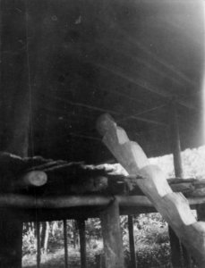 Detalj av stegtrappa till en indianhydda. Anm. R . Chocó. Colombia - SMVK - 004222