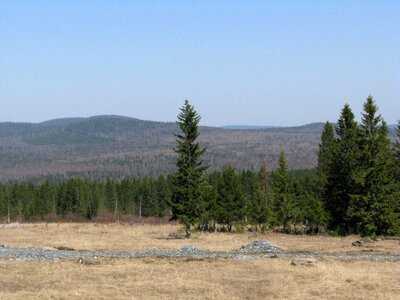 Dahl nature landscape