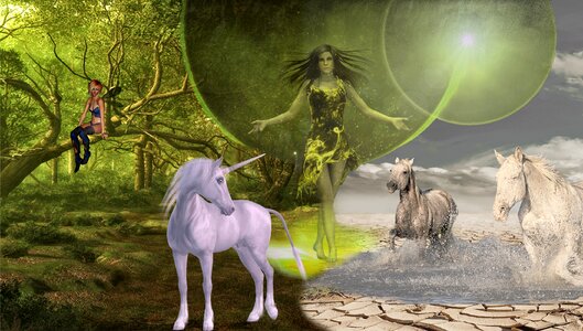 Forest mysticism horses