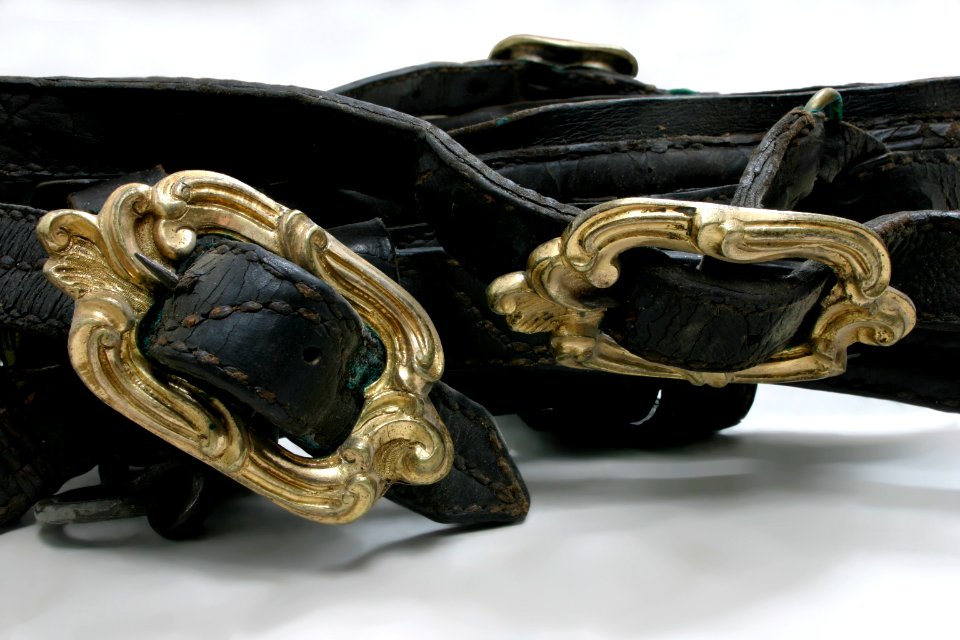 Detalj, seltyg, söljor - Livrustkammaren - 85505