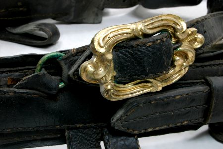 Detalj, seltyg, sölja - Livrustkammaren - 8459