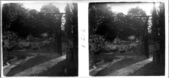 Detall d ' un jardí de Sarrià