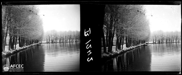 Detall de l'estany de Puigcerdà