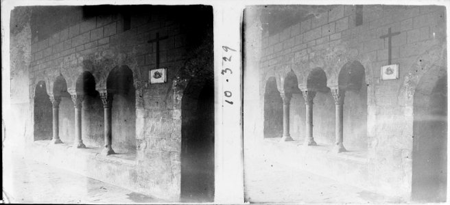 Detall d'un mur del claustre romànic del monestir de Sant Joan de les Abadesses (SaP 329 10)