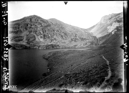 Detall de l'estany de Montoliu