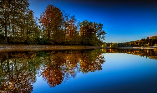 Background image nature autumn