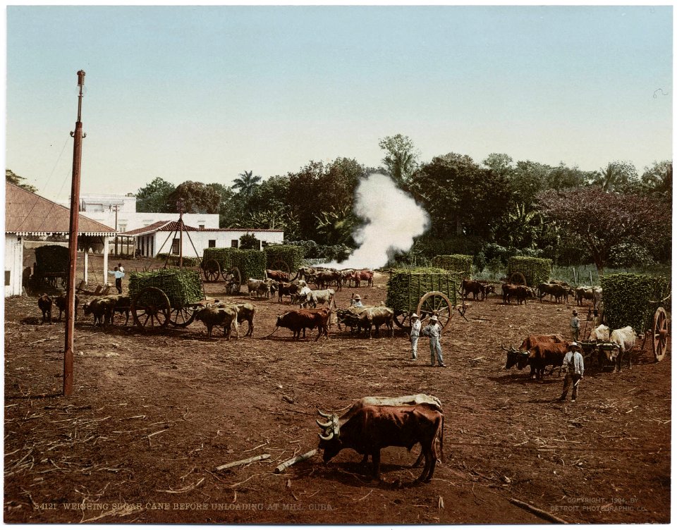 Detroit Photographic Company (1002)