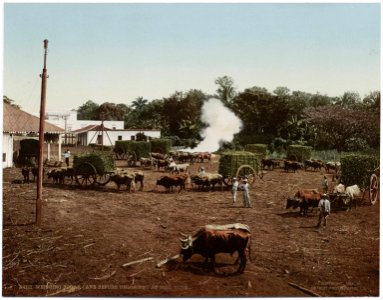 Detroit Photographic Company (1002)